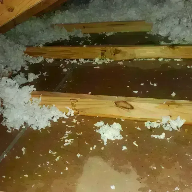 Attic Water Damage in Gearhart, OR