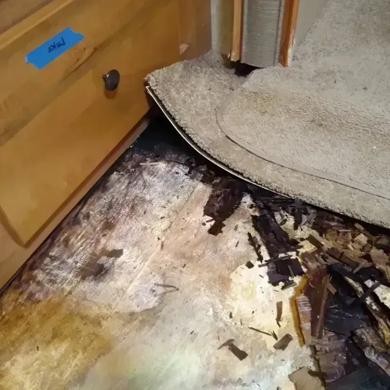 Best Wood Floor Water Damage Service in Gearhart, OR